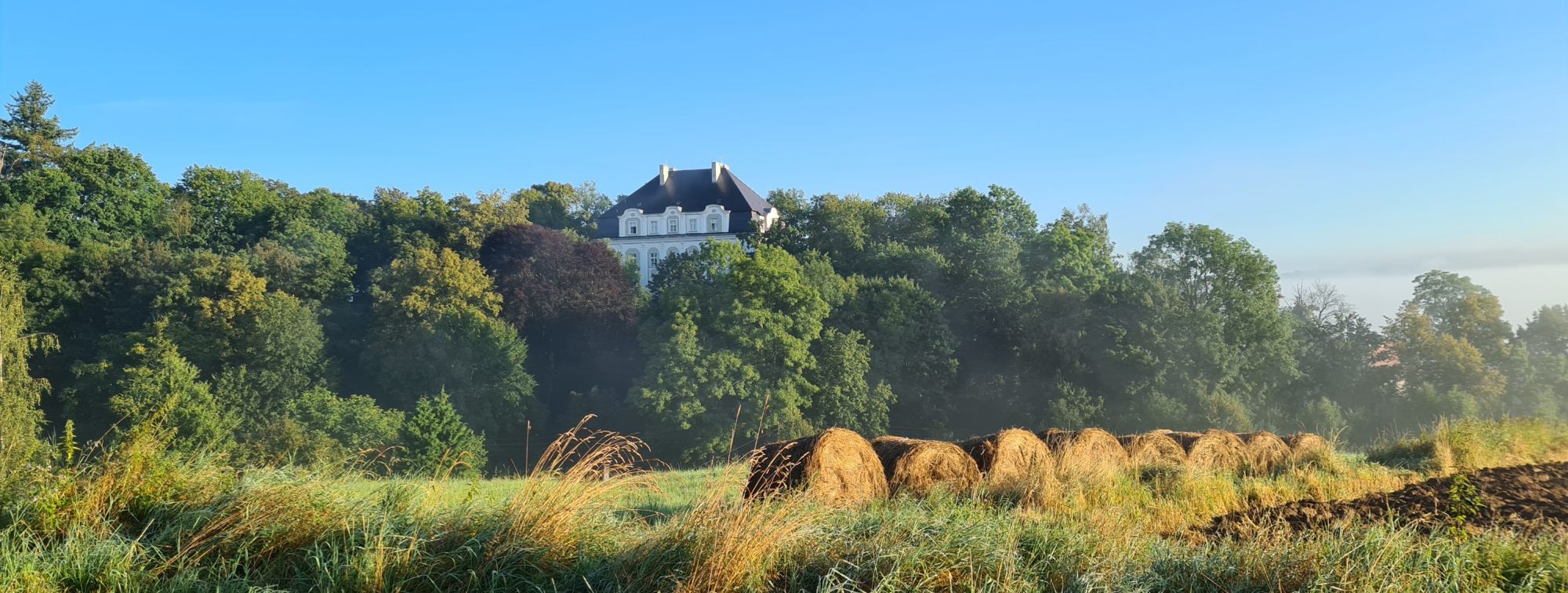 Schloss verkaufen Österreich