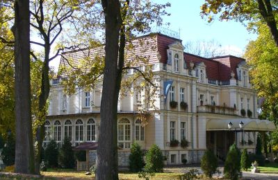 Schloss in Niewodnik vor Versteigerung