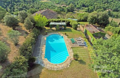 Landhaus kaufen Arezzo, Toskana, RIF 2993 Blick auf Pool und Anwesen