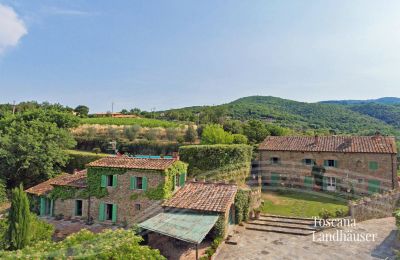 Landhaus kaufen Arezzo, Toskana, RIF 2993 Blick auf Anwesen 