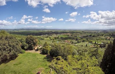 Historische Villa kaufen Campiglia Marittima, Toskana, Garten