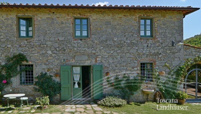 Landhaus Gaiole in Chianti 5