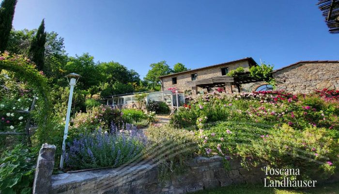 Landhaus Gaiole in Chianti 2