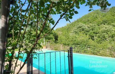 Landhaus kaufen Gaiole in Chianti, Toskana, RIF 3003 Weg zum Pool