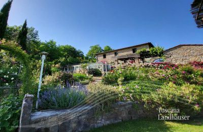 Landhaus kaufen Gaiole in Chianti, Toskana, RIF 3003 Rustico