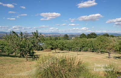 Bauernhaus kaufen Sarteano, Toskana, RIF 3009 Panoramablick