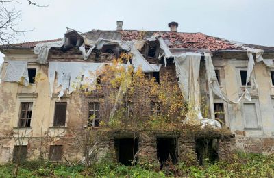 Herrenhaus/Gutshaus kaufen Saulaine, Kaucmindes muiža, Semgallen, Foto 8/33