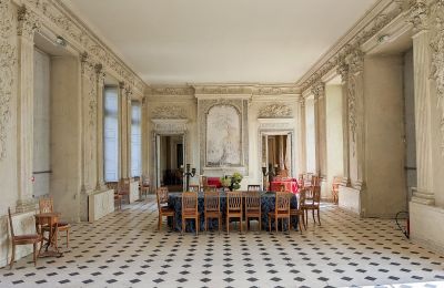 Schloss kaufen Paris, Île-de-France, Ballsaal