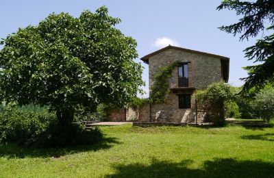 Bauernhaus kaufen Promano, Umbrien, Grundstück