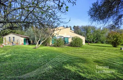 Landhaus kaufen Castagneto Carducci, Toskana, RIF 3057 Haus und Terrasse