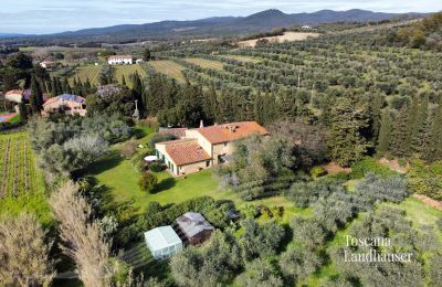 Landhaus kaufen Castagneto Carducci, Toskana, RIF 3057 Blick auf Anwesen und Umgebung