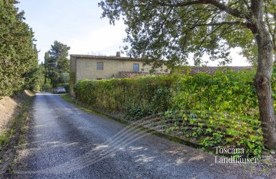 Landhaus kaufen Castagneto Carducci, Toskana, RIF 3057 Zufahrt