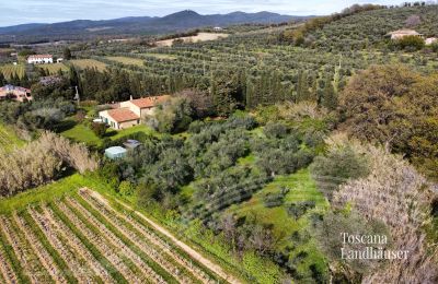 Landhaus kaufen Castagneto Carducci, Toskana, RIf 3057 Anwesen und Olivenbäume