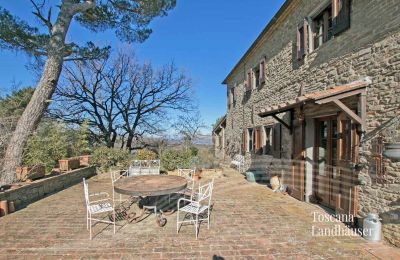 Landhaus kaufen Gaiole in Chianti, Toskana, RIF 3041 Terrasse