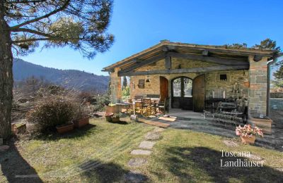 Landhaus kaufen Gaiole in Chianti, Toskana, RIF 3041 Dependance