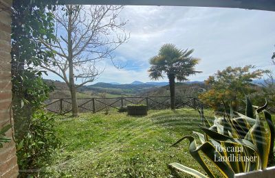 Bauernhaus kaufen Marciano della Chiana, Toskana, RIF 3055 Panoramablick