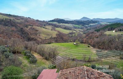 Bauernhaus kaufen Marciano della Chiana, Toskana, RIF 3055 Ausblick