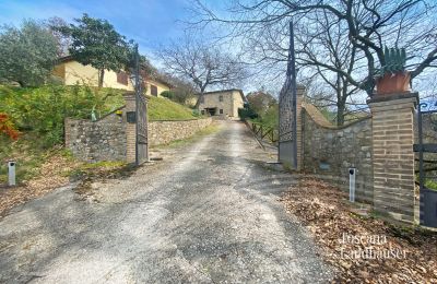 Bauernhaus kaufen Marciano della Chiana, Toskana, RIF 3055 Zufahrtstor