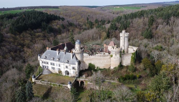 Schloss kaufen Veauce, Auvergne-Rhône-Alpes,  Frankreich