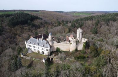 Schloss kaufen Veauce, Auvergne-Rhône-Alpes, Foto 2/9