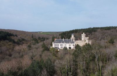 Schloss kaufen Veauce, Auvergne-Rhône-Alpes, Foto 8/9