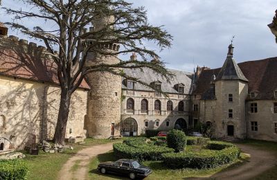 Schloss kaufen Veauce, Auvergne-Rhône-Alpes, Foto 4/9