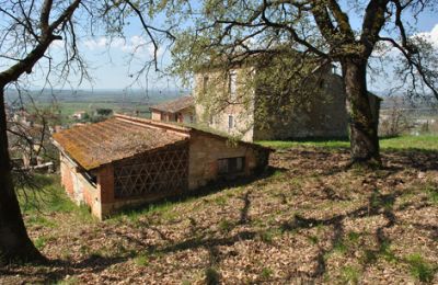 Bauernhaus kaufen Siena, Toskana, RIF 3071 Blick auf Rustico