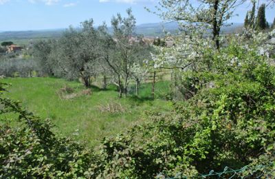 Bauernhaus kaufen Siena, Toskana, RIF 3071 Garten