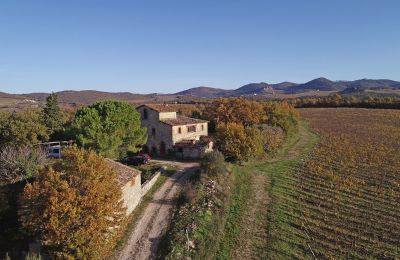 Landhaus kaufen Gaiole in Chianti, Toskana, RIF 3073 Anwesen und Zufahrt