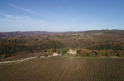 Landhaus kaufen Gaiole in Chianti, Toskana, RIF 3073 Umgebung