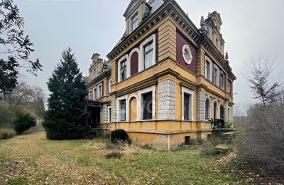 Schloss kaufen Olszyna Dolna, Pałac Olszyna, Niederschlesien, Rückseite