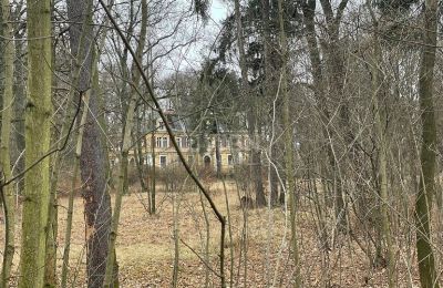 Schloss kaufen Olszyna Dolna, Pałac Olszyna, Niederschlesien, Foto 6/7