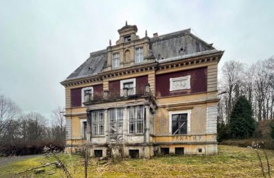 Schloss kaufen Olszyna Dolna, Pałac Olszyna, Niederschlesien, Foto 5/7