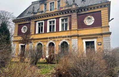 Schloss kaufen Olszyna Dolna, Pałac Olszyna, Niederschlesien, Foto 4/7