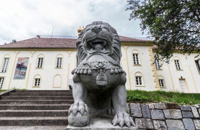 Schloss kaufen Szombathely, Komitat Vas, Foto 3/21