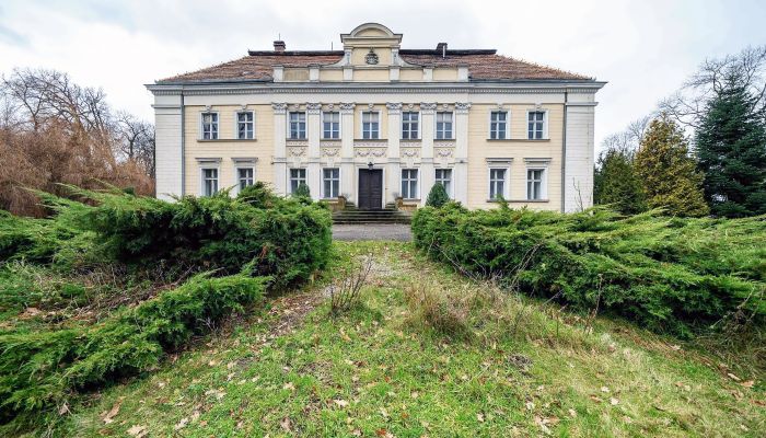 Schloss kaufen Gola, Großpolen,  Polen