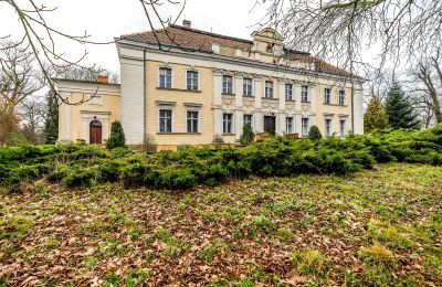 Schloss kaufen Gola, Großpolen, Foto 2/45