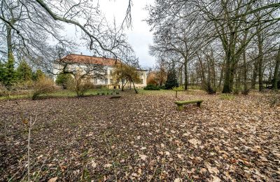 Schloss kaufen Gola, Großpolen, Terrasse