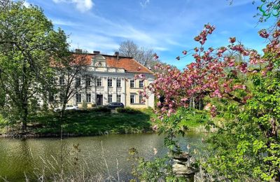 Schloss Gola, Großpolen