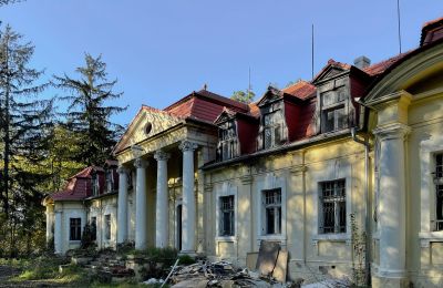 Schloss kaufen Skoraszewice, Skoraszewice  16, Großpolen, Foto 7/8