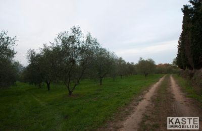 Kloster kaufen Peccioli, Toskana, Foto 14/28