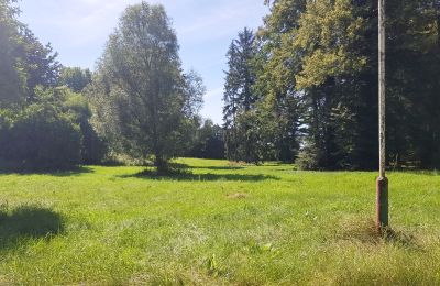 Herrenhaus/Gutshaus kaufen Konopnica, Lodz, Foto 7/8