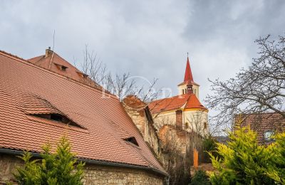 Schloss kaufen Žitenice, Zámek Žitenice, Ústecký kraj, Foto 17/31