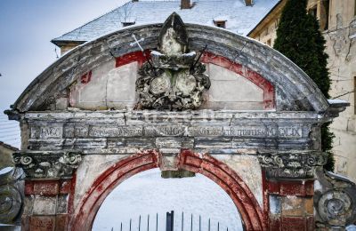 Schloss kaufen Žitenice, Zámek Žitenice, Ústecký kraj, Foto 18/31