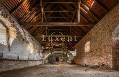 Schloss kaufen Žitenice, Zámek Žitenice, Ústecký kraj, Foto 22/31