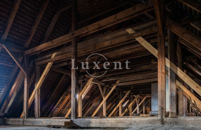 Schloss kaufen Žitenice, Zámek Žitenice, Ústecký kraj, Foto 21/31