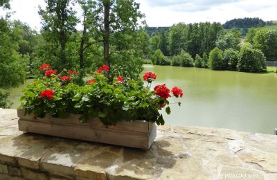 Schloss kaufen Rychnov nad Kněžnou, Královéhradecký kraj, Teich/See