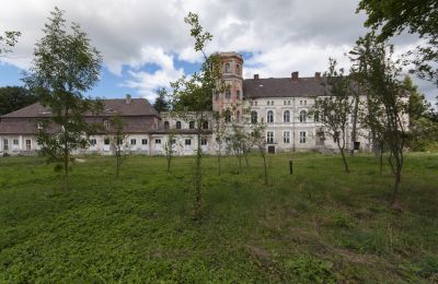 Schloss kaufen Cecenowo, Pałac w Cecenowie, Pommern, 2016