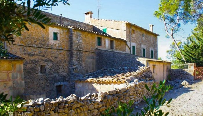  Mallorca, Serra de Tramuntana, Cala Sant Vicenç 4