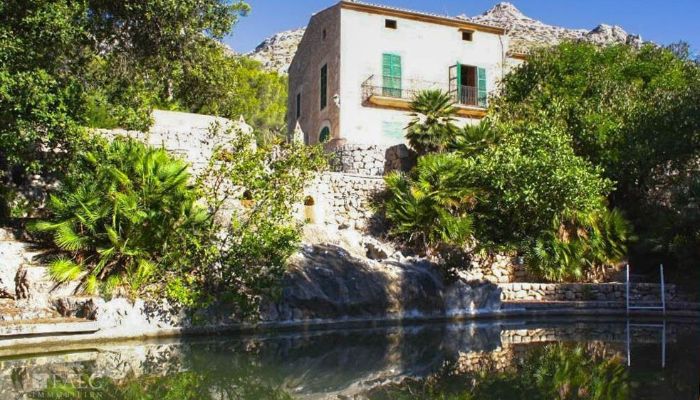  Mallorca, Serra de Tramuntana, Cala Sant Vicenç 2